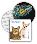 Lite Mat Coasters